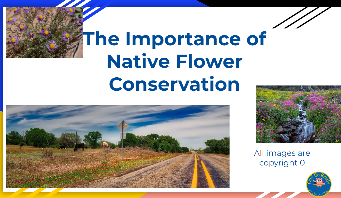 Earth Day Lesson Plans-Native Flower Conservation (2 Days)