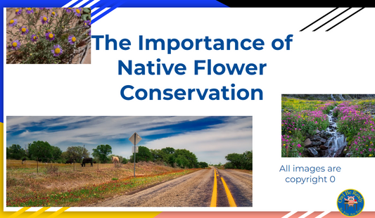 Earth Day Lesson Plans-Native Flower Conservation (2 Days)