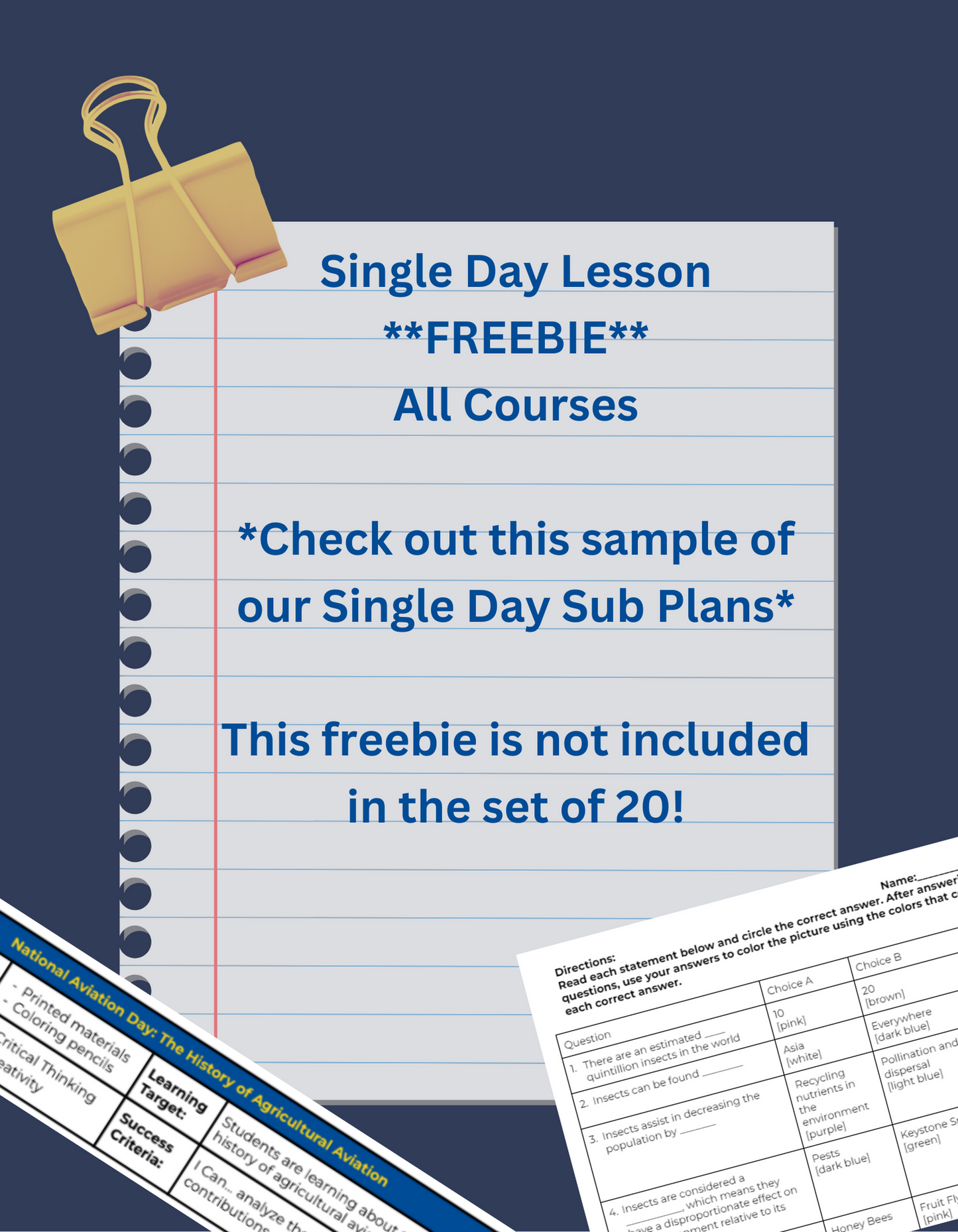 Free- Single Day Sub Plan- National Watermelon Day- See Ya Summer