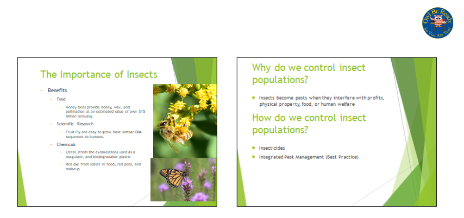 Single Day Sub- Insect- What's Bugging You?